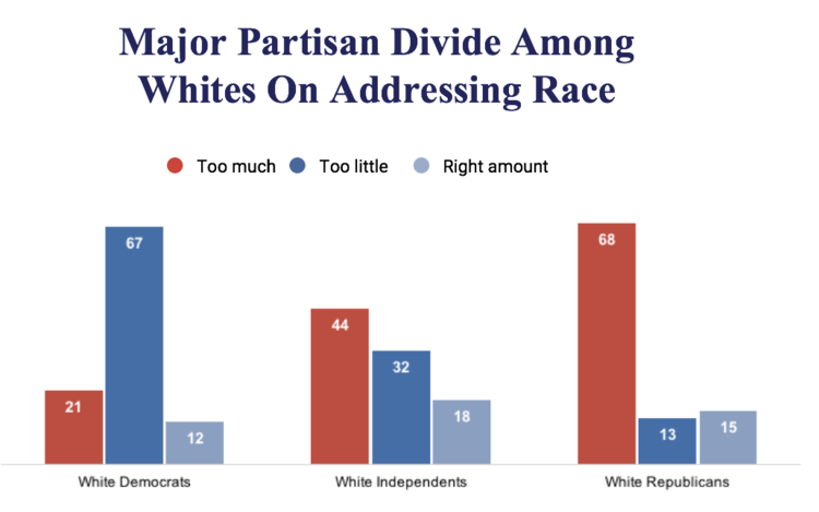 major partisan divide among whites on addressing race