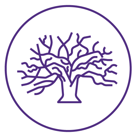stroke-purple_oak-tree